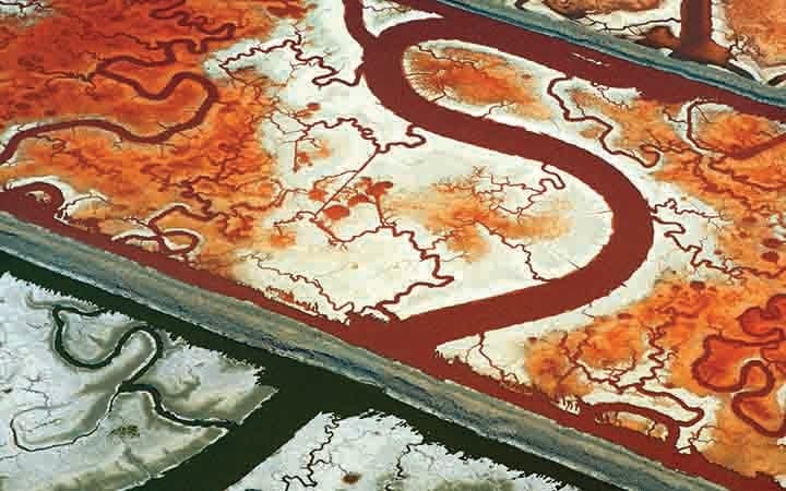 red and grey salt ponds in San Francisco