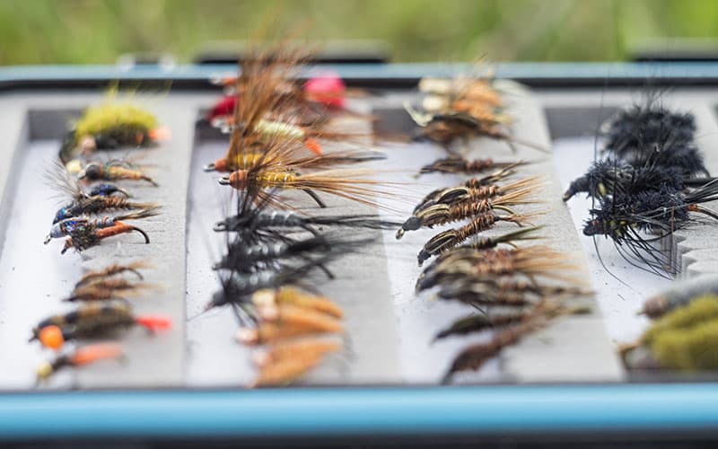 Array of fly fishing lines