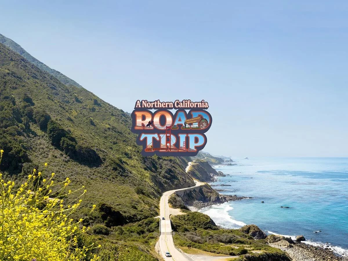 A Northern California Road Trip