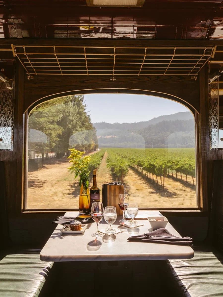 vineyard view from the Napa Valley Wine Train