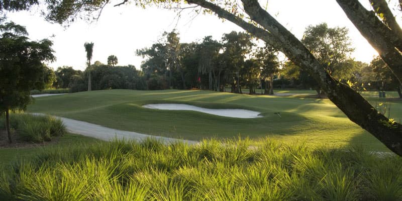 Hole #15 from The Country Club of Naples