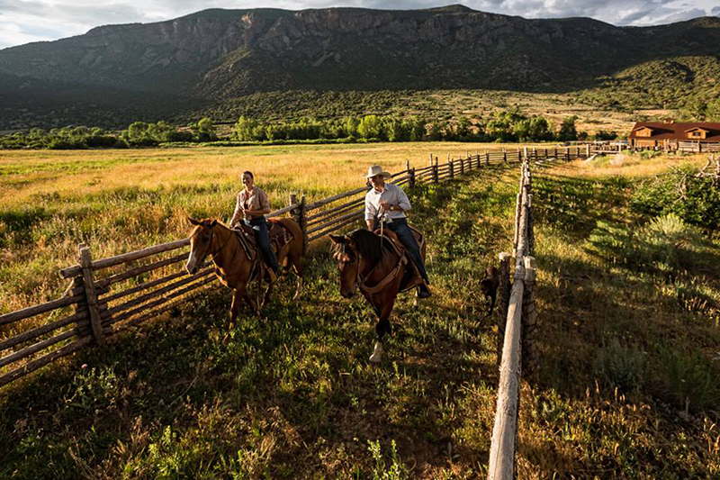The Art Of Cattle Ranching In Colorado