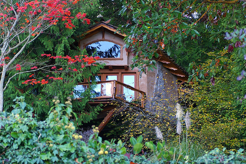 dream homes