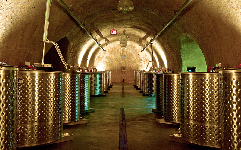 Porter Family Vineyard