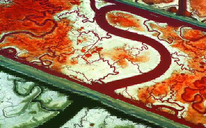 Salt Ponds, San Francisco Bay