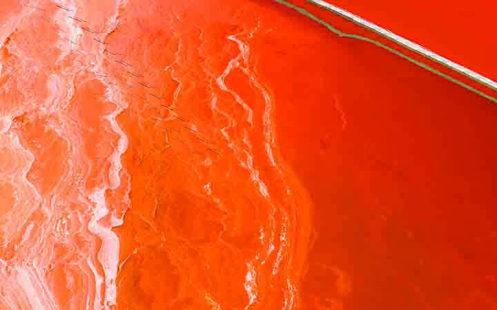 Salt Pond, San Francisco Bay