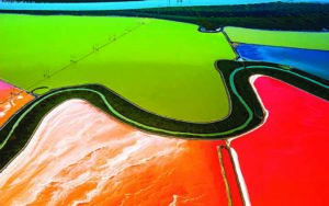 San Francisco Salt Ponds