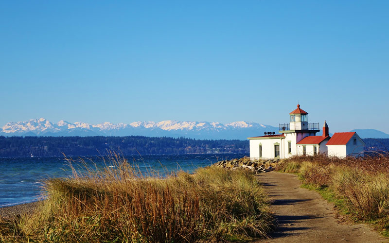 Seattle's Best Runs