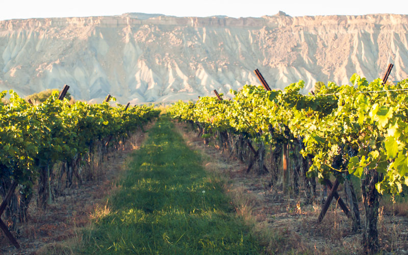 3-inside-colorado-wine-country