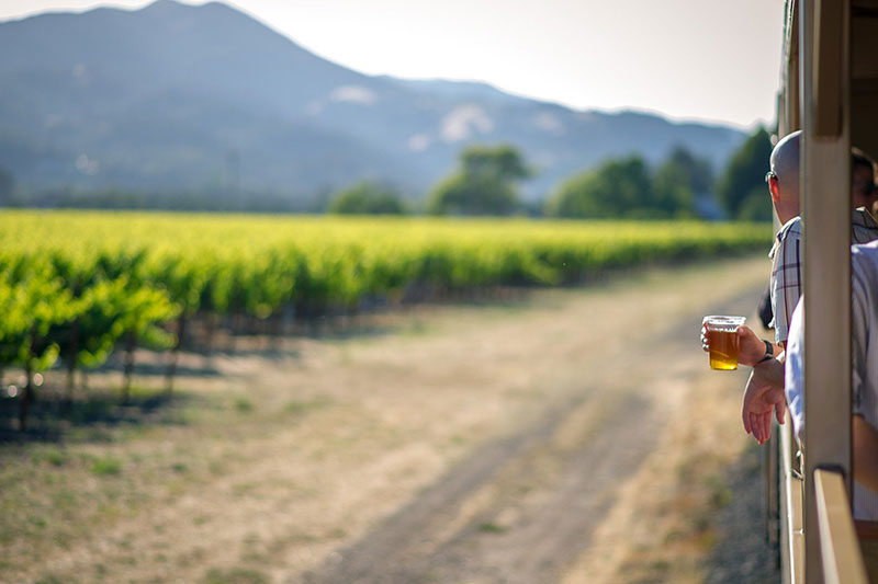 Views & Brews: Napa’s New Hop Train