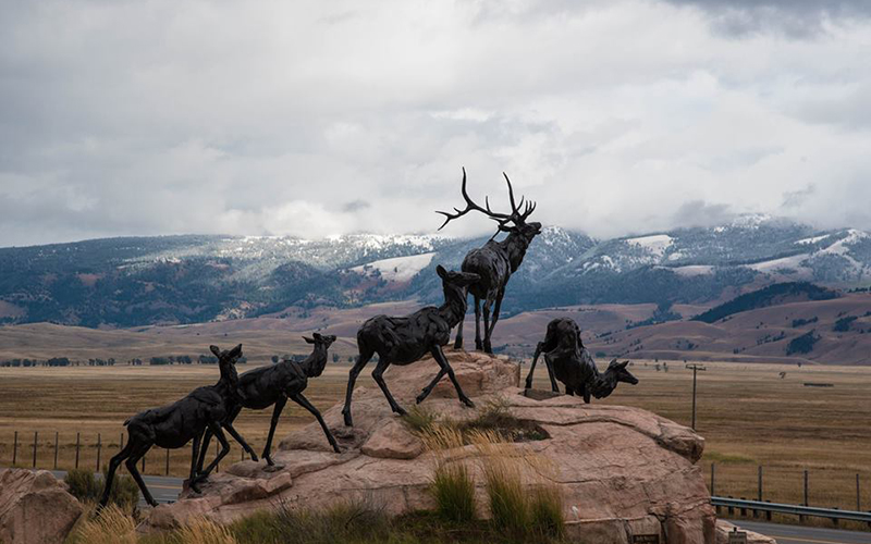The National Museum of Wildlife Art
