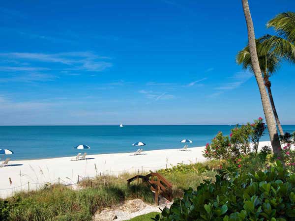 Beach View