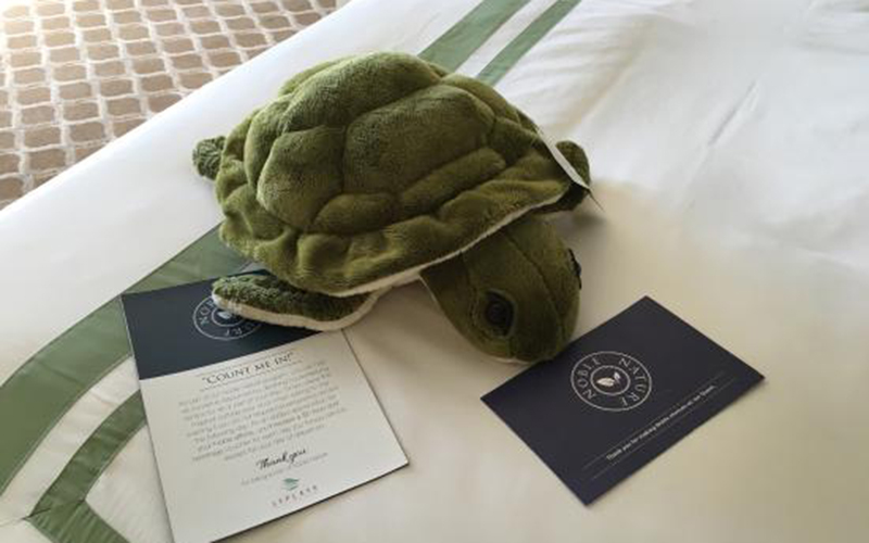 Sea Turtle Conservancy Package