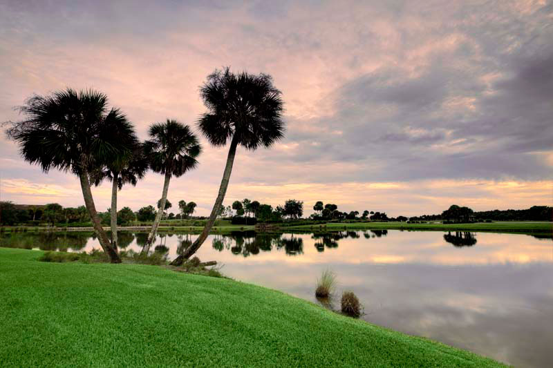 A Dream Front Nine Pulled from the Paradise Coast’s Best Courses