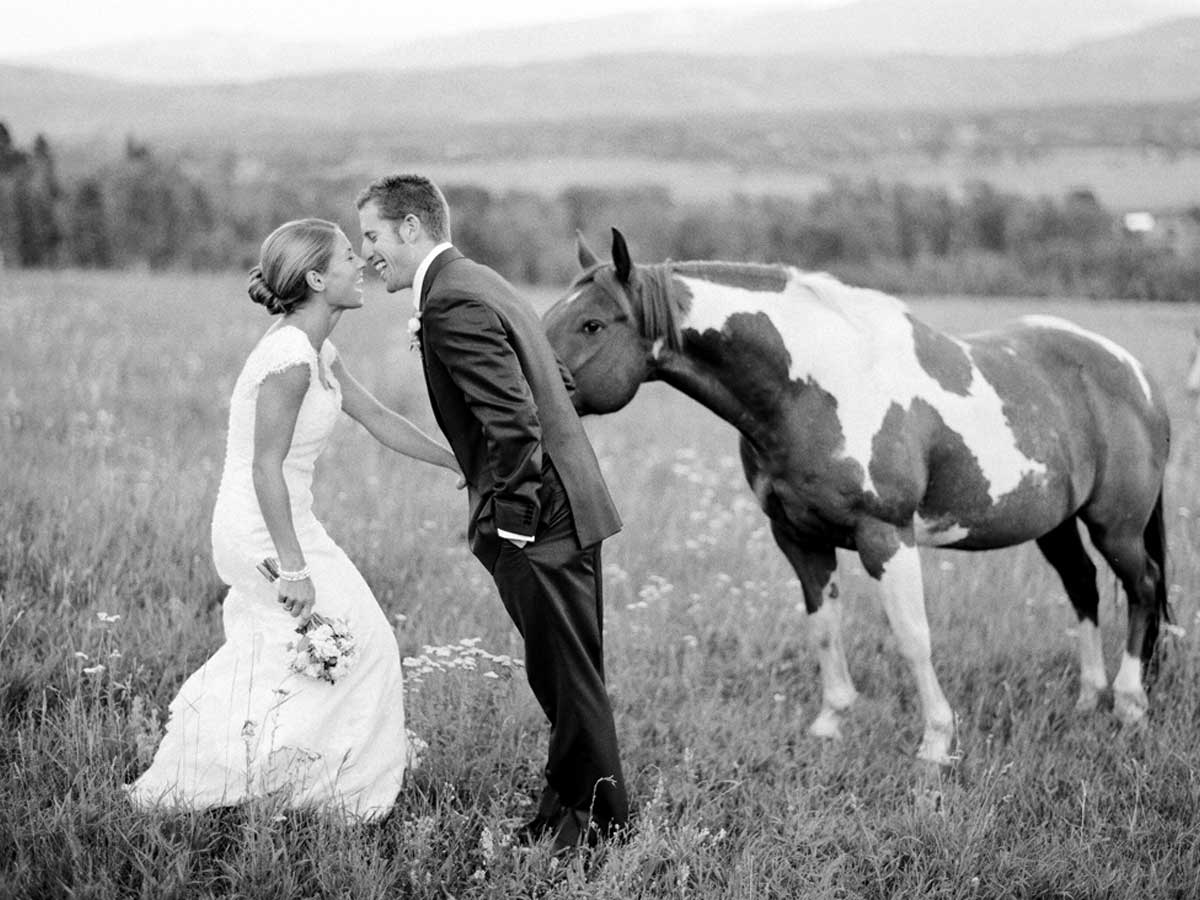 Groom Bride And Horse