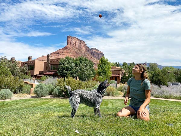 Dog In The Grass At Gateway.
