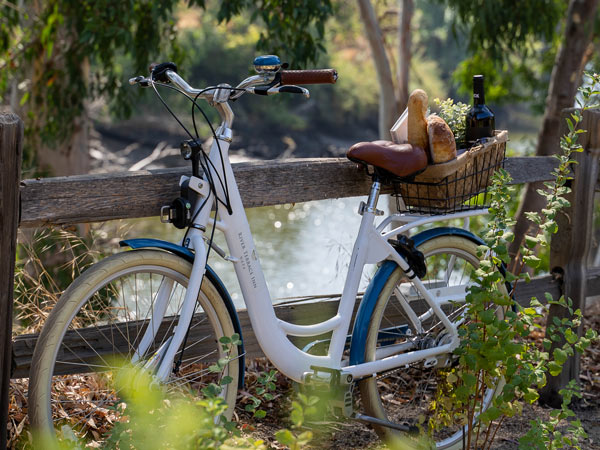 River Terrace Inn Bicycle